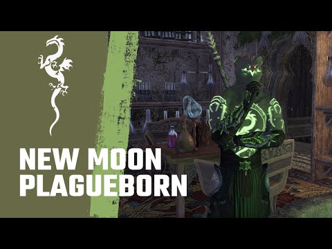 ESO - Stamina Necromancer RP PVE Build - Plaguewalker