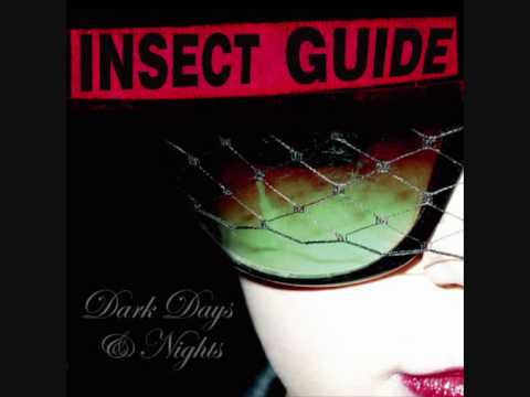 Insect Guide - Bats