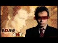 Adam Ant Anger Inc