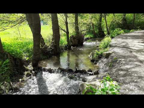 Mammutmarsch Around the World 2.0