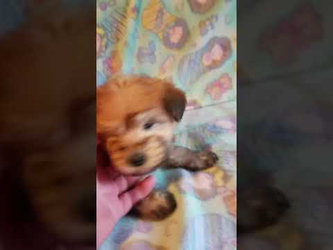 Sweet male want you soon