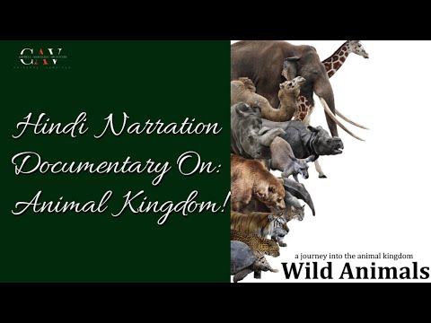 BERNARD CAMPBELL Hindi Documentary Voiceovers (ANIMAL KINGDOM)