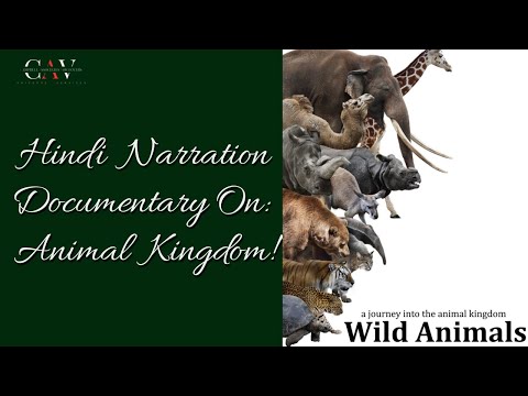 Hindi Documentary Voiceovers (ANIMAL KINGDOM)