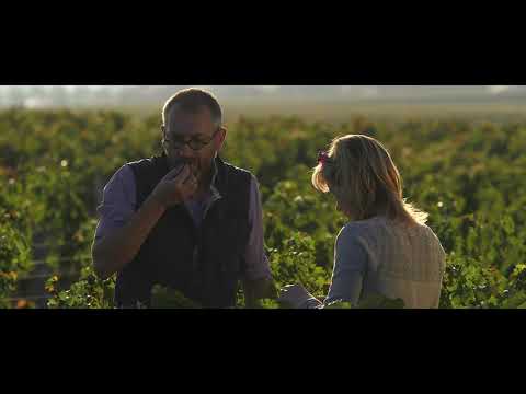 Introducing Chateau Palmer