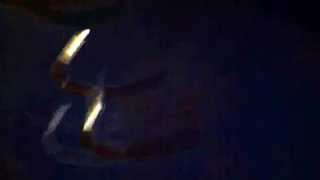 Pat McGee Band - Haven&#39;t Seen For A While