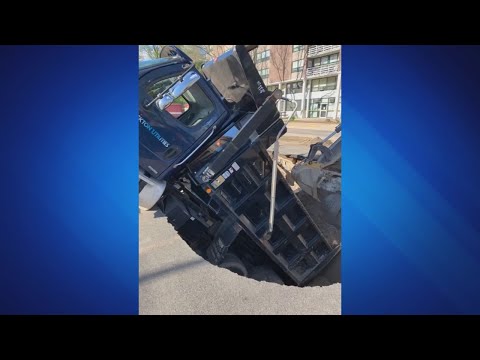 A neighbor comes to the rescue, and a zoo in the Netherlands has a tiny new resident