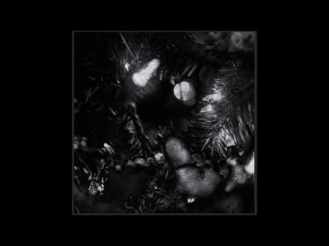 01. grayera - unknown