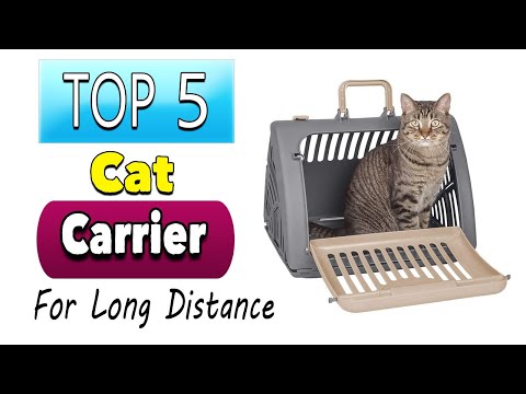Best Cat Carrier For Long Distance Car Travel