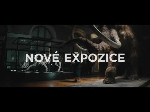 Náhled pro video reference