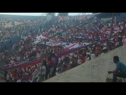 "Soy Del Albo Hasta Que Me Muera" Barra: La Ultra Fiel • Club: Club Deportivo Olimpia