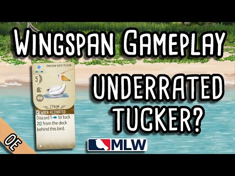 Is this an underrated tucker? | Wingspan Gameplay