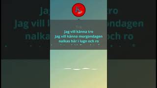 Marie Fredriksson -Tro. Karaoke