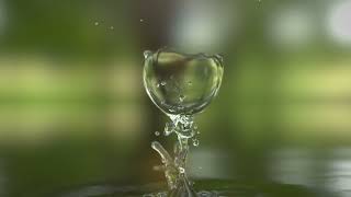 Vídeo Logo Essências Brazil