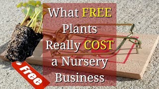 What Free Plants Cost your Nursery Business