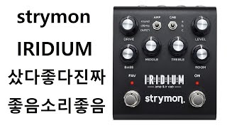 외않사? strymon IRIDIUM 리뷰