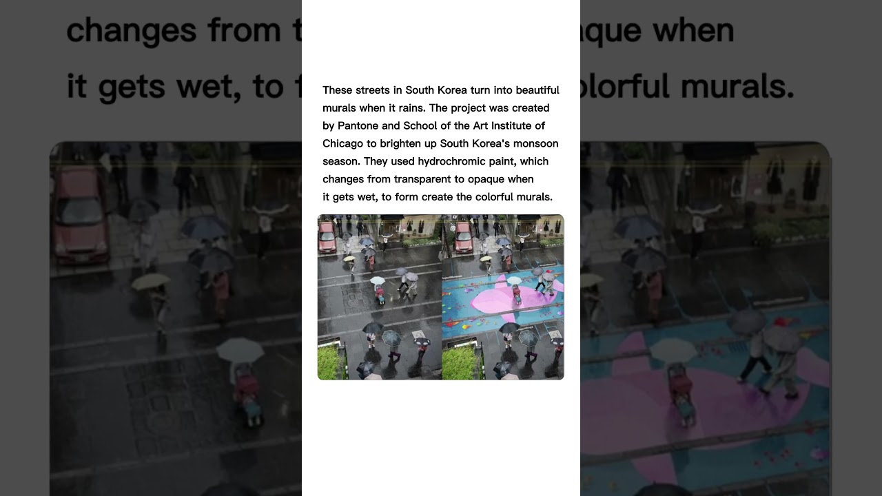 Rain Reveals Colorful Street Murals