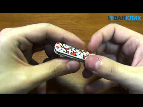   Нож Victorinox Classic SD Edelweiss 0.6203.84