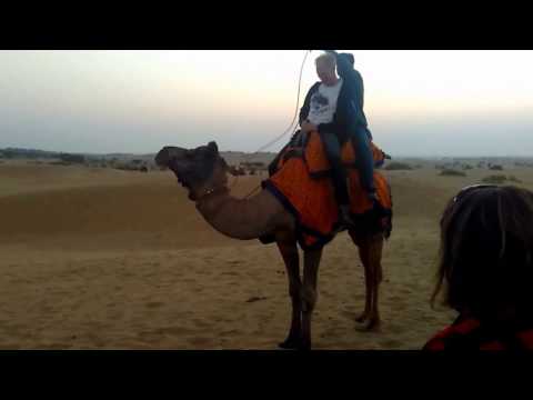 Riders enjoying Camel Ride on Soft Sand Dunes of Thar Desert in Rajasthan