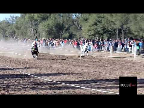 Hip El Quebrachal ( Cuervo , Hormiga )