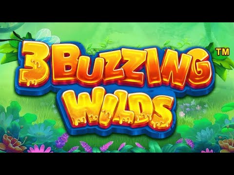 3 Buzzing Wilds gameplay video