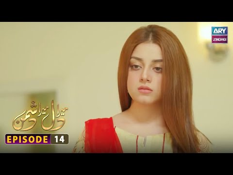 Mera Dil Mera Dushman Episode 14 | ARY Zindagi