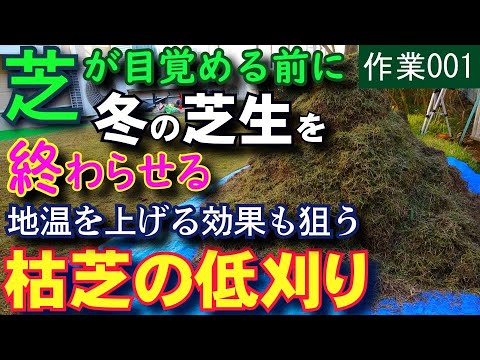 冬に芝刈りをするのは良いアイデアですか、それとも悪いアイデアですか?シンプルで実践的なアドバイスに従ってください。  庭園