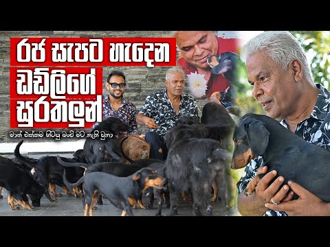 බිස්නස් එකේ අමාරුම කාලේ බංචි මගේ ළඟ හිටියා - ඩඩ්ලි සිරිසේන | Pet Talk