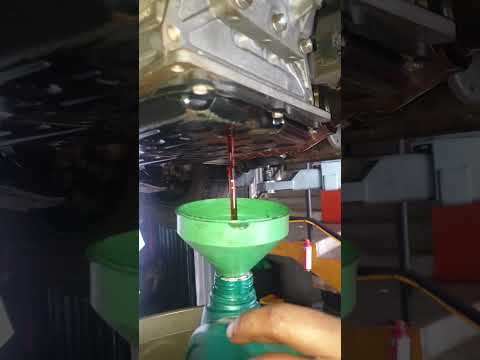 transmission oil change