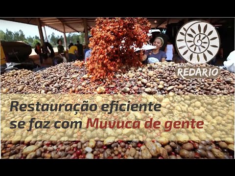 https://youtu.be/T6LfeeFc3SA?si=feWL4HwID142r955