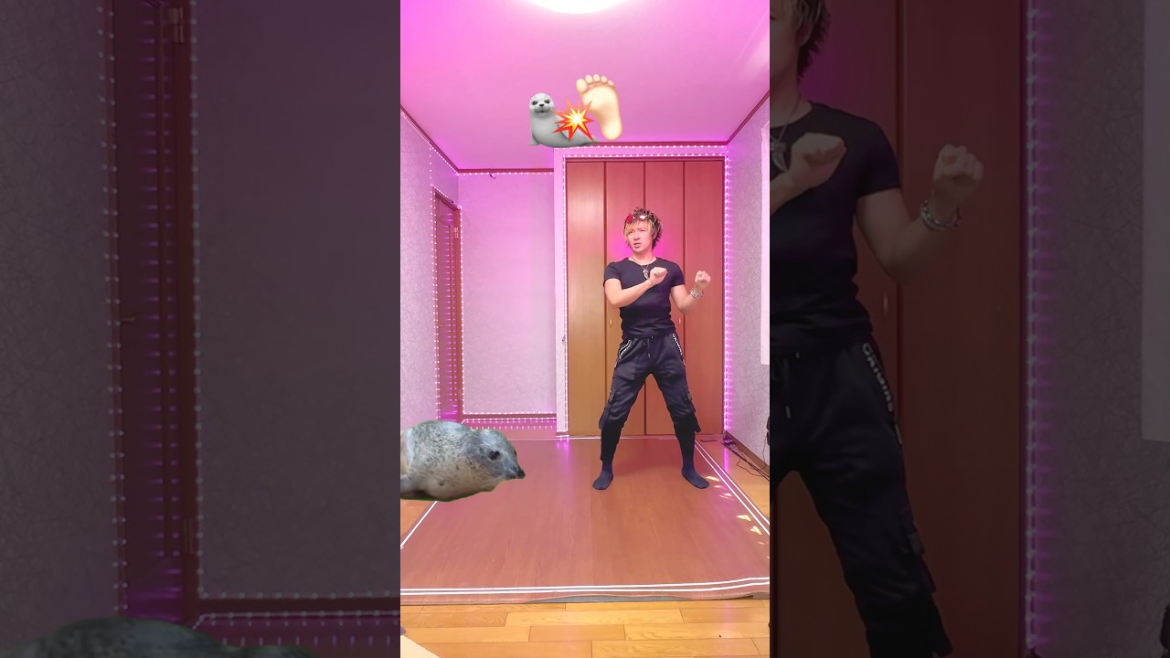 アザラシと戯れる男の末路がヤバすぎる… The fate of a man who played with seals is absolutely horrific🦭