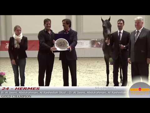 Berlin Cup 2015 - HIGHLIGHTS B-Show