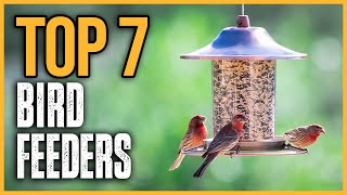 Top 7 Best Bird Feeders in 2025