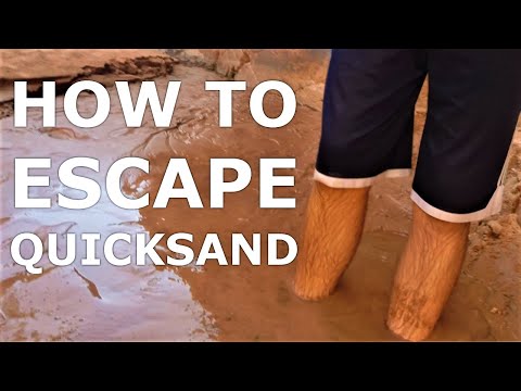 The Science of Surviving Quicksand
