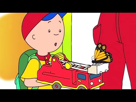 Caillou en Français | Caillou et les Papillons Surprises | 526 | dessin animé | NOUVEL ÉPISODE HD