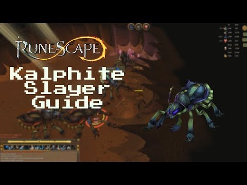 [RS3] Kalphite Slayer Guide - Ironman Friendly