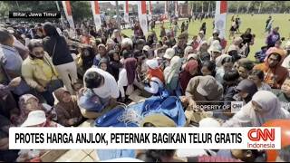 Download lagu Protes Harga Anjlok, Peternak Bagikan Telur Gratis mp3