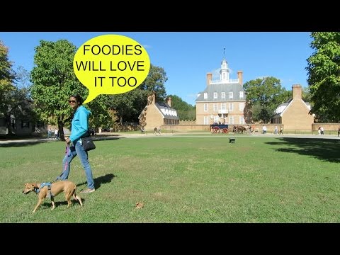 Williamsburg VA is so Dog Gone Friendly