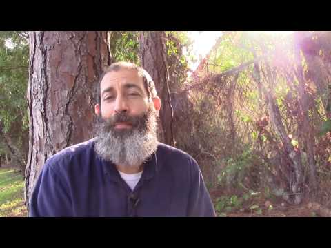 download lagu mp3 mp4 Raw Food Recipe Book, download lagu Raw Food Recipe Book gratis, unduh video klip Raw Food Recipe Book