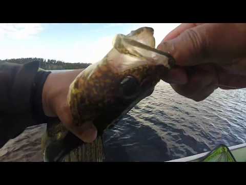 Northen Ontario Walleye Fishing - Lower Twin Lakes Nakina 2018 - YouTube