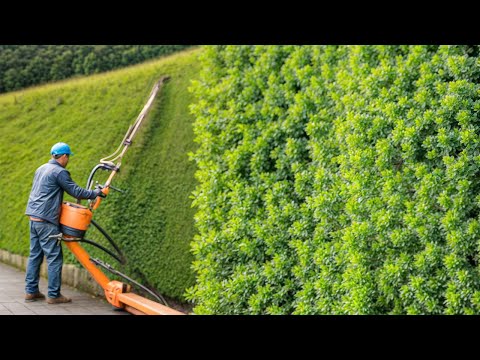 Most Satisfying Video Of Workers Doing Their Job Perfectly!