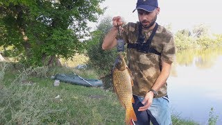 Самый лучший способ ловли карпа в пруду