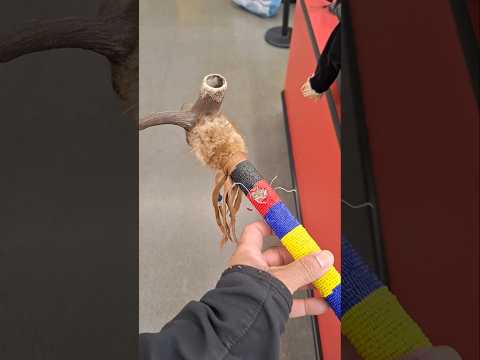 Native American peace pipe collectible item #goldhunter137