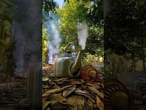 Peupuleh Saket - Ulvazilla