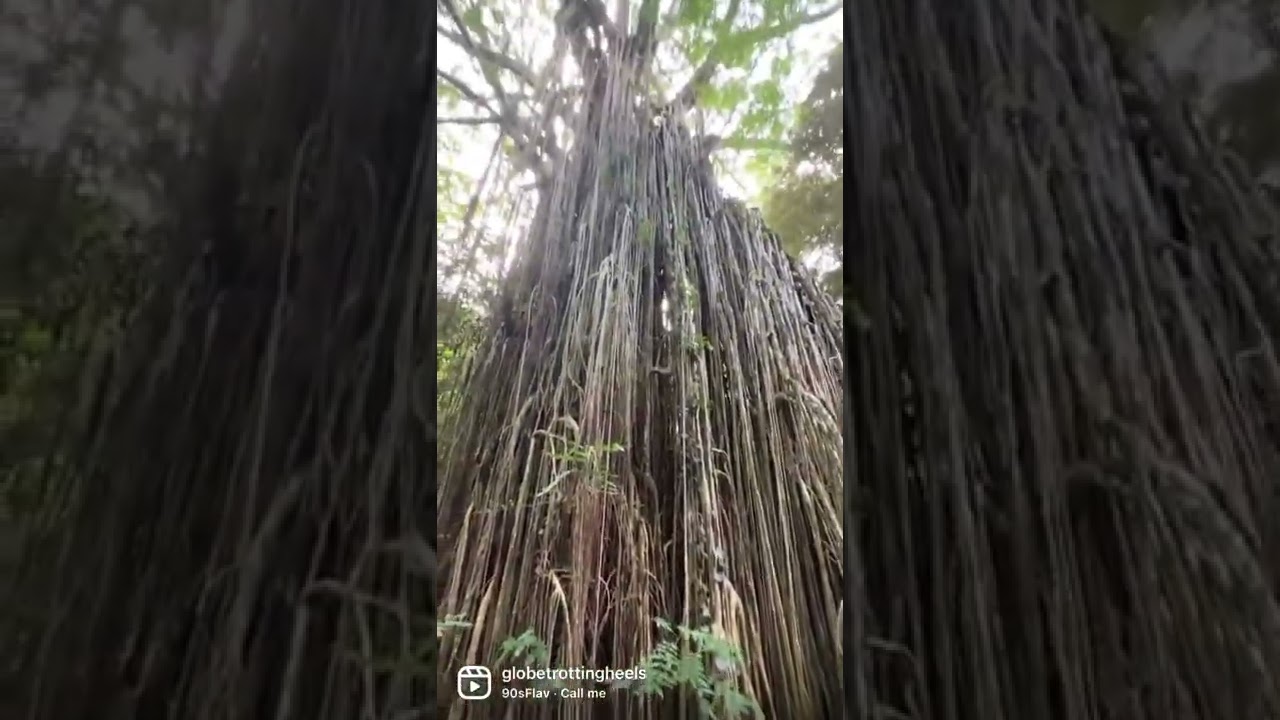 YouTube Short thumbnail