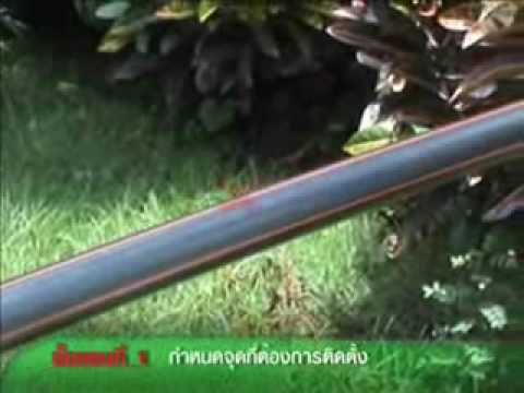 ภาพรอยสักค้อนที่ด้านหลังของพรู ยาโป๊สอง