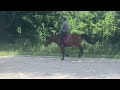 PONETTE DE 5 ANS