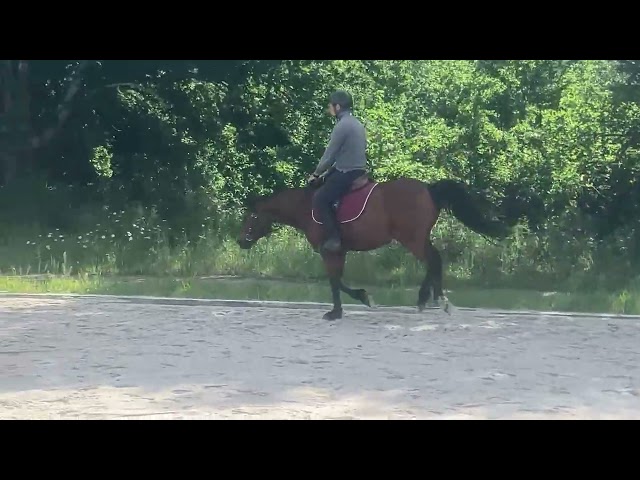 PONETTE DE 5 ANS