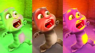 Green Cat vs yallo aasmani cat 🐈 competition video 🤣 Billi mousi 😂 bolane wali billi 😱