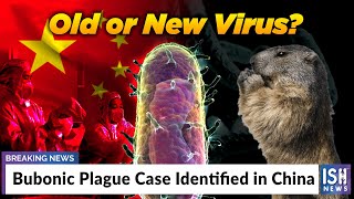 Bubonic Plague Case Identified in China