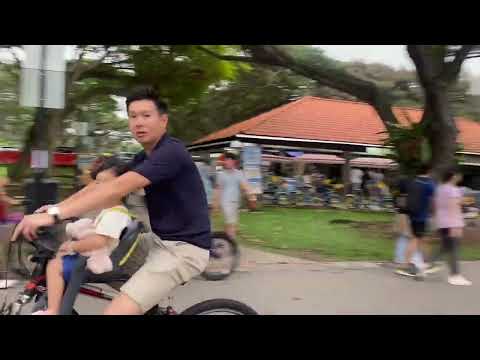 Singapore 🇸🇬 🏖️ beach